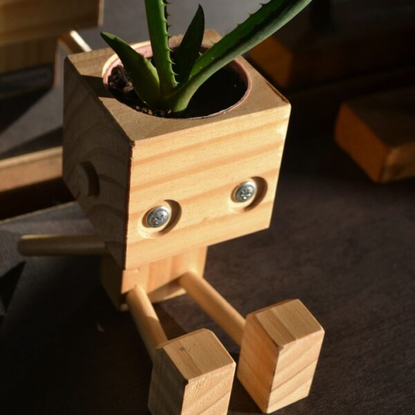 Muñeco de madera  DaruMan Botánico